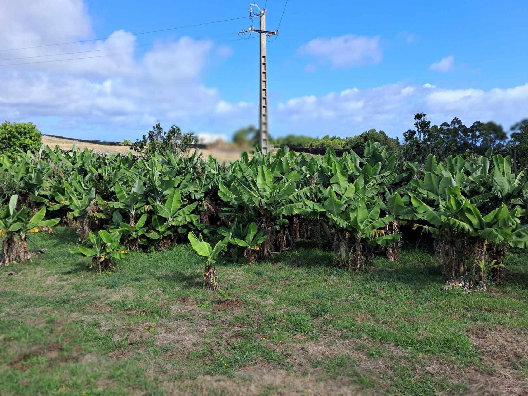 Quinta Do Norte Capelas Esterno foto
