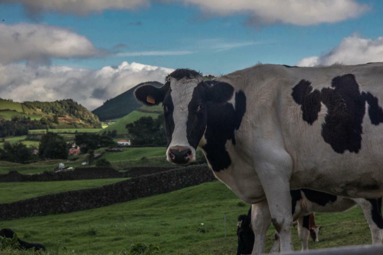 Quinta Do Norte Capelas Esterno foto